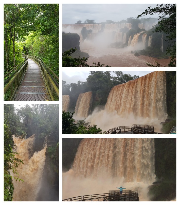 BeFunky-collage (17)