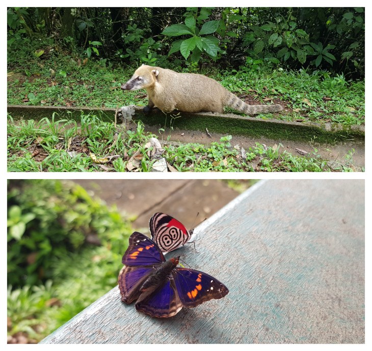 BeFunky-collage (19)