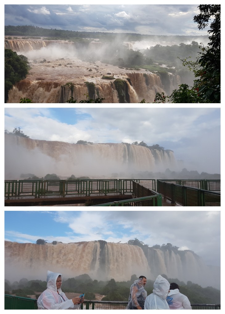 BeFunky-collage (20)